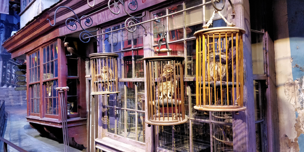 Harry Potter winkel